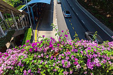 明年1月发售《夏日重现Another Horizon》公布预告